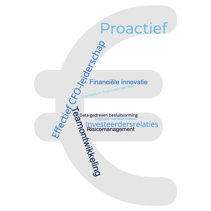 Wordcloud Effectief CFO Leiderschap